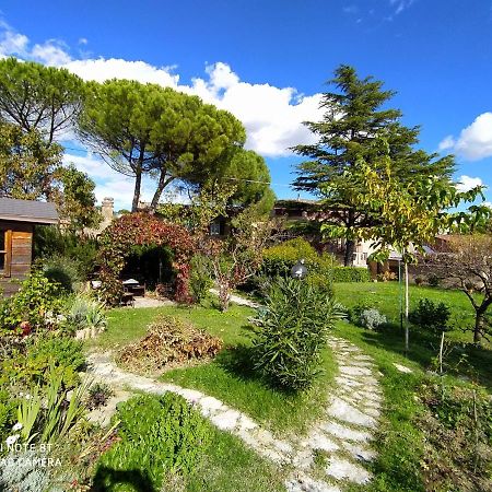 Il Rifugio Del Leone Apartment Perugia Exterior photo