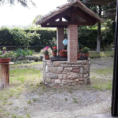 Il Rifugio Del Leone Apartment Perugia Exterior photo